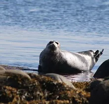 ополнительное фото тура 