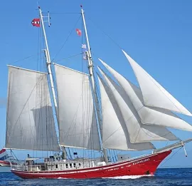 Тур Новый Год в Антарктиде с перелетом через пролив Дрейка