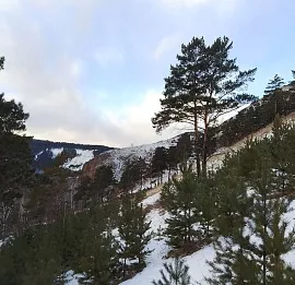 Тур сердце  России - Красноярск-!