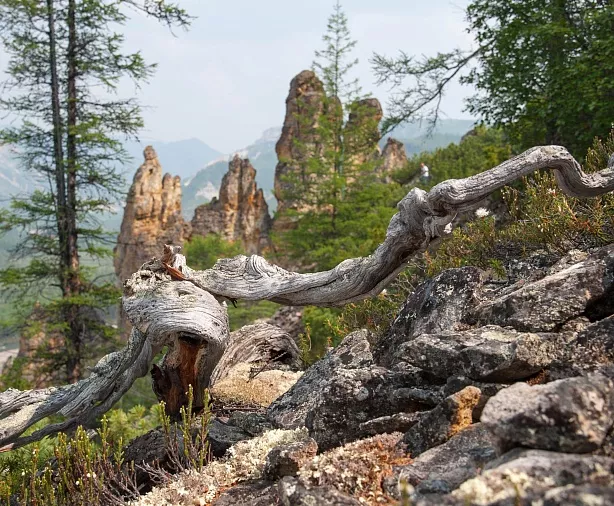 Изображение статьи Экскурсия из Магадана – посещение Хетинских Столбов Туры России
