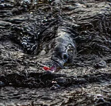 ополнительное фото тура 