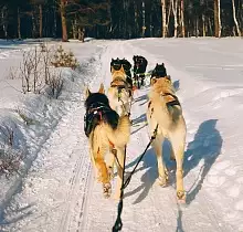 ополнительное фото тура 