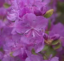 ополнительное фото тура 