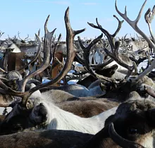 ополнительное фото тура 