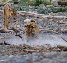 ополнительное фото тура 