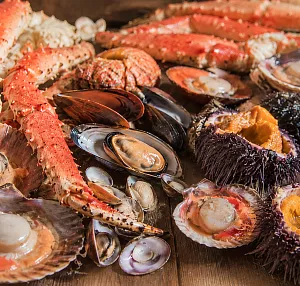Гастрономический туризм в Териберке: морепродукты и арктическая кухня