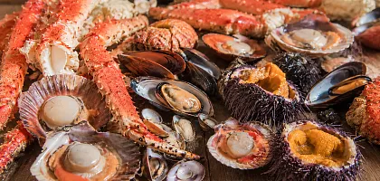 Гастрономический туризм в Териберке: морепродукты и арктическая кухня