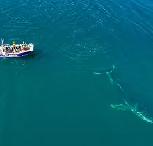 ополнительное фото тура 