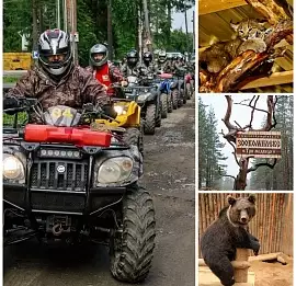Тур Квадротур в зоокомплекс "Три медведя" . 9 часов.
