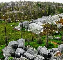 ополнительное фото тура 