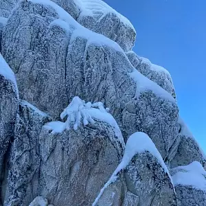 Фото отзыва