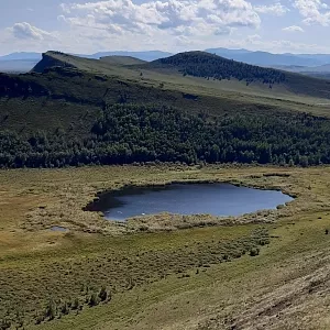 Фото отзыва