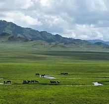 ополнительное фото тура 