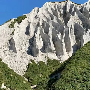 Фото отзыва