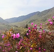 ополнительное фото тура 