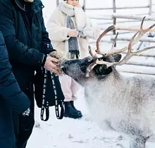 ополнительное фото тура 