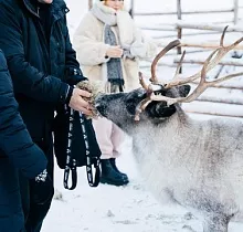 ополнительное фото тура 