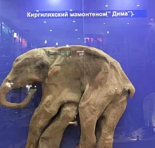 ополнительное фото тура 