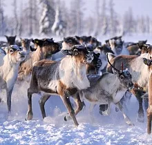 ополнительное фото тура 