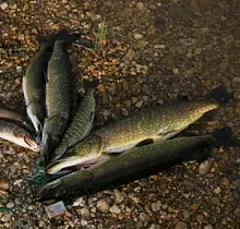 ополнительное фото тура 