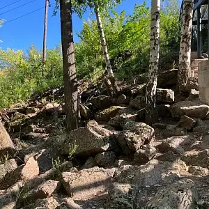 Фото отзыва
