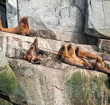 ополнительное фото тура 