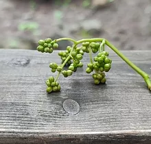 ополнительное фото тура 