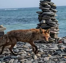 ополнительное фото тура 