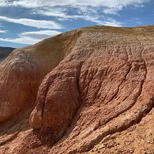 Фото отзыва