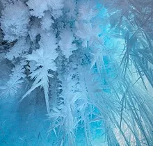 ополнительное фото тура 