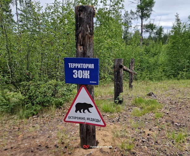 Изображение статьи Однодневная экскурсия из Якутска на водопады Курулуур: как добраться, что посмотреть, советы Туры России