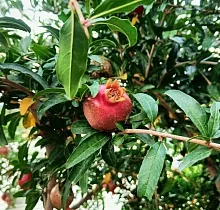 ополнительное фото тура 