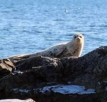 ополнительное фото тура 