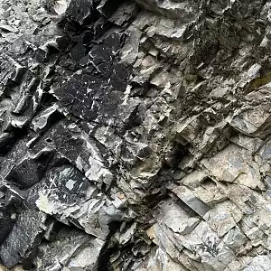 Фото отзыва