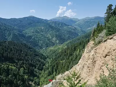 Южная Осетия