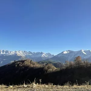 Фото отзыва