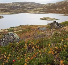 ополнительное фото тура 