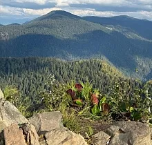 ополнительное фото тура 