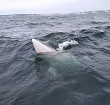 ополнительное фото тура 