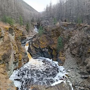 Фото отзыва