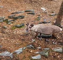 ополнительное фото тура 