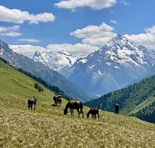 ополнительное фото тура 