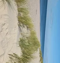 ополнительное фото тура 