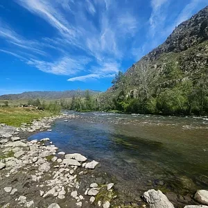 Фото отзыва