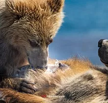 ополнительное фото тура 