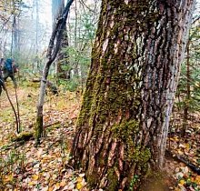 ополнительное фото тура 
