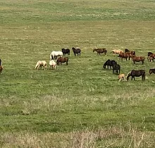 ополнительное фото тура 