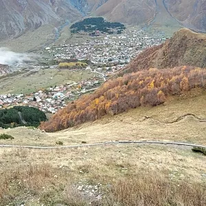 Фото отзыва