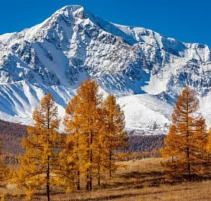 Краски осеннего Алтая. Фотоотчет