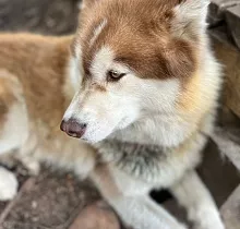 ополнительное фото тура 